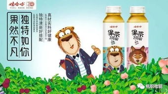 娃哈哈品牌年輕化與市場滲透——營銷策劃與廣告創(chuàng)意大賽方案